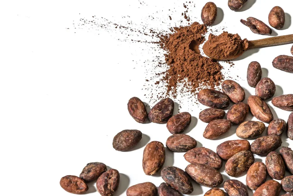 cocoa beans and cocoa powder